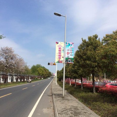 Customized Street Lighting Pole Shape Lamp Pole