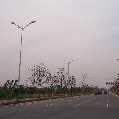 Galvanized Street Light Poles With Double Arm